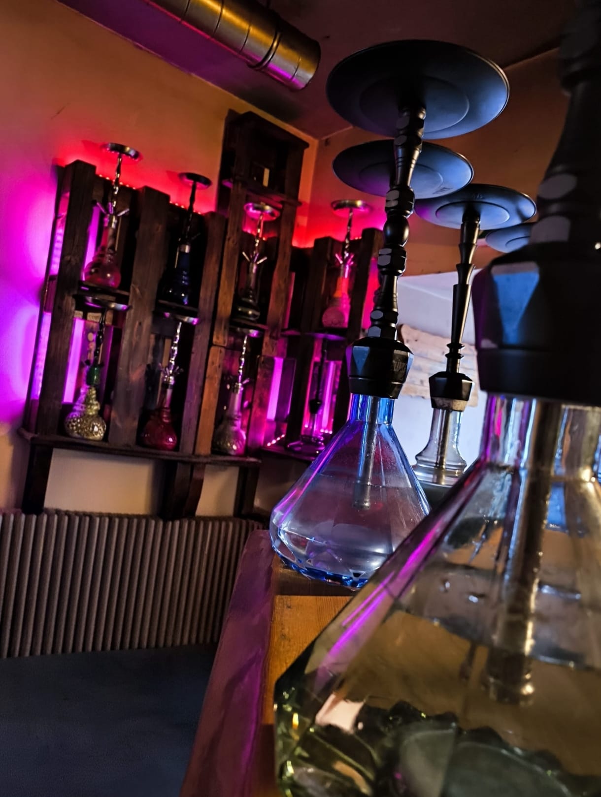 Shisha-Regal mit pink beleuchteten Wasserpfeifen